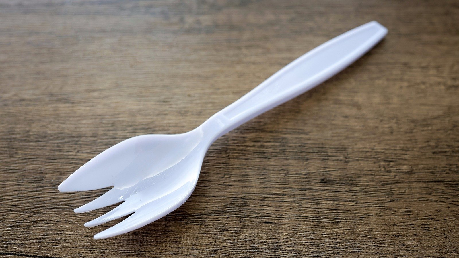 SPORK